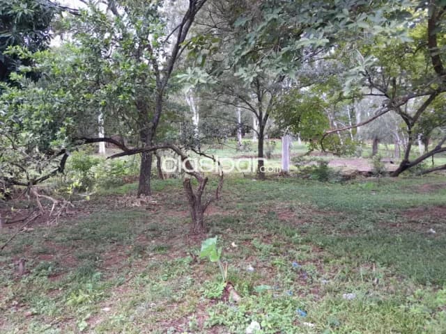 Limpio, distrito de aguapey: 16.700 m2, gran oportunidad de inversión p/ loteamientos, des — foto 2