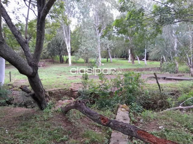 Limpio, distrito de aguapey: 16.700 m2, gran oportunidad de inversión p/ loteamientos, des — foto 4