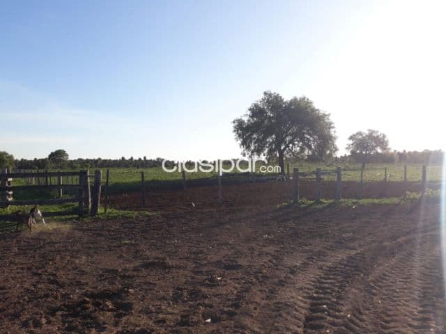 Estancia Formada., VENDO., 1.600 ha., con 400 ha de Pasto implantado De contado hasta 3 pa