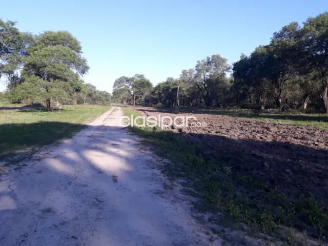 Estancia Formada., VENDO., 1.600 ha., con 400 ha de Pasto implantado De contado hasta 3 pa — foto 3