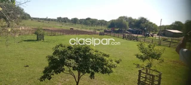 Estancia Formada., VENDO., 1.600 ha., con 400 ha de Pasto implantado De contado hasta 3 pa — foto 5