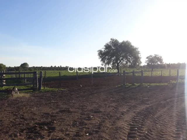 Propiedad Orientada a Ganadería expandible a Agricultura c/400 ha c/Pastura total 1600 ha, foto 2