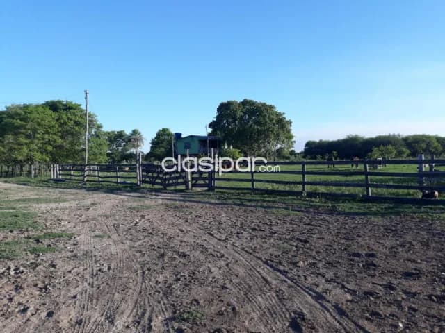 Propiedad Orientada a Ganadería expandible a Agricultura c/400 ha c/Pastura total 1600 ha, foto 3