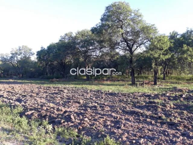 Propiedad Orientada a Ganadería expandible a Agricultura c/400 ha c/Pastura total 1600 ha, foto 4