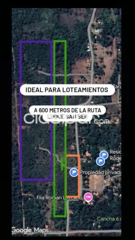 Luque, sanber: 12 has, en tarumandy p/ loteamientos, prox. Ruta, 385.000.000 gs/ha, foto 3