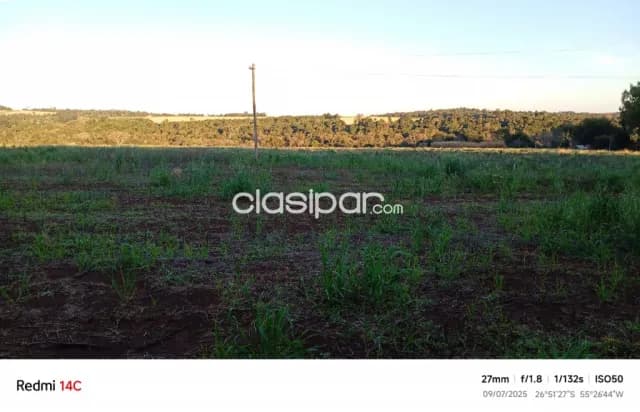 Propiedad agricola, foto 3