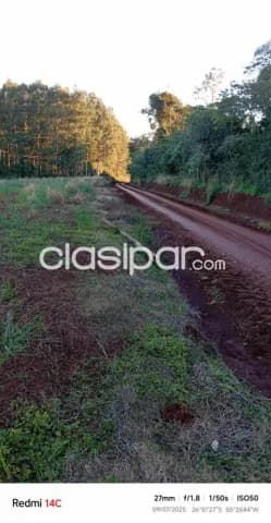 Propiedad agricola, foto 4