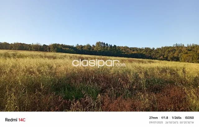 Propiedad agricola, foto 5