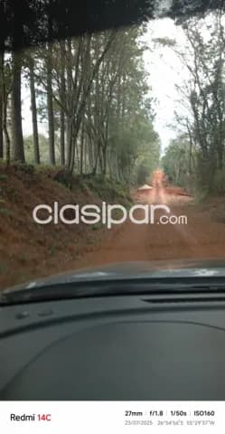 Propiedad agricola en pirapo, foto 5