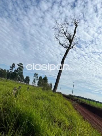 En Venta Propiedad Rural en Ciudad del Este id 38333, foto 5
