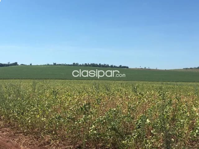 De propiedad agricola mecanizada, foto 2