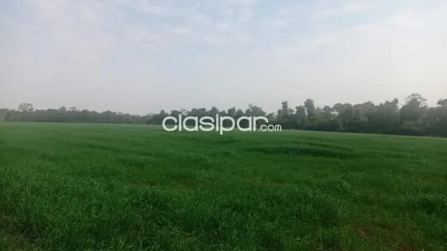 De propiedad agricola mecanizada, foto 3