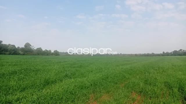 De propiedad agricola mecanizada, foto 4