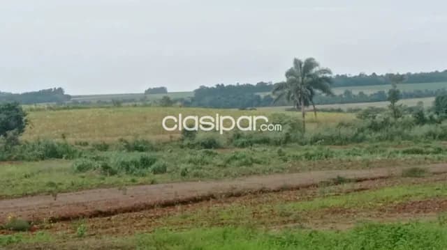 Propiedad agricola mecanizada en obligado - poromoco, foto 2
