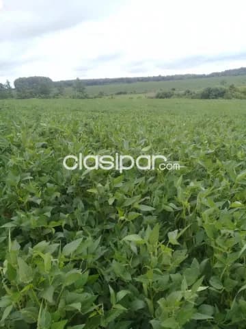 Propiedad agricola mecanizada en obligado - poromoco, foto 3