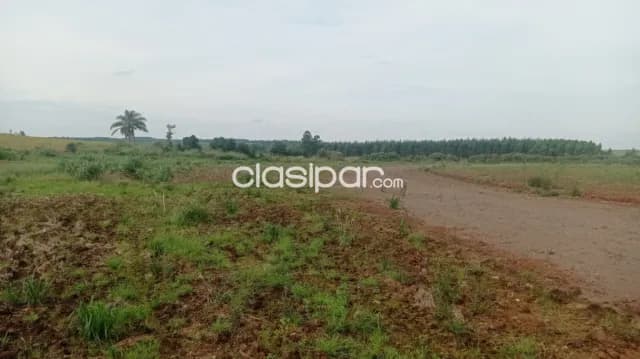 Propiedad agricola mecanizada en obligado - poromoco, foto 4