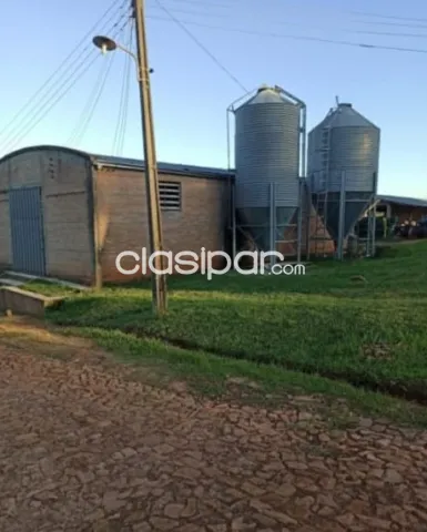 Cnel. Oviedo, ideal p/ cria de cerdos! 65 has formadas, floreciente productividad, s/ruta, foto 3