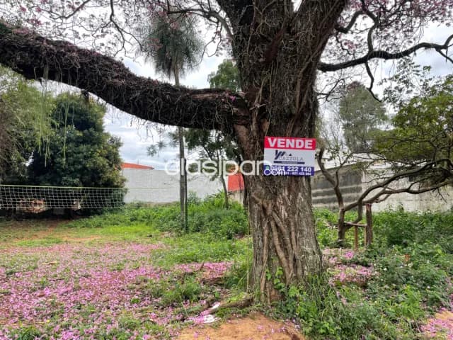 Terrenos en Ñemby – zona Burger King – sobre Estero Bellaco — foto 2