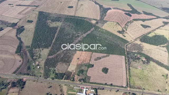 Campo Agrícola/Ganadero en San Ignacio - 43 Ha — foto 2