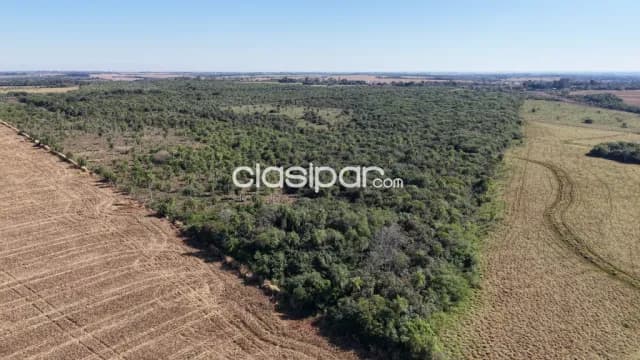 Campo Agrícola/Ganadero en San Ignacio - 43 Ha — foto 3