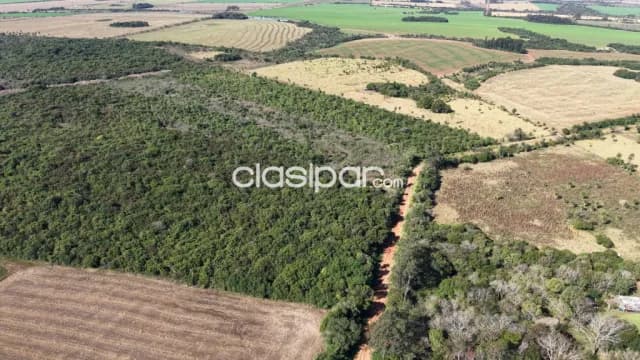 Campo Agrícola/Ganadero en San Ignacio - 43 Ha — foto 4