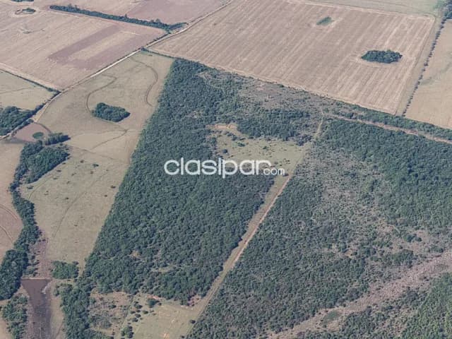Campo Agrícola/Ganadero en San Ignacio - 43 Ha — foto 5
