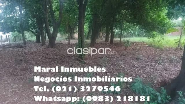 Terreno de 1.100 m2 en capiata en la zona club silvio pettirossi km. 20 — foto 5