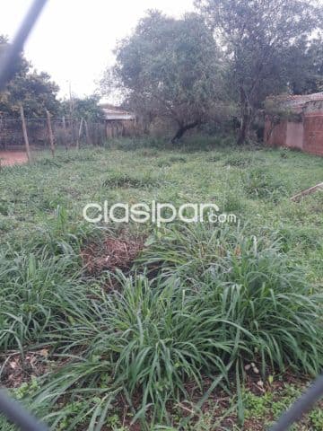 TERRENO 12x30mts – Zona Moracue, Luque — foto principal
