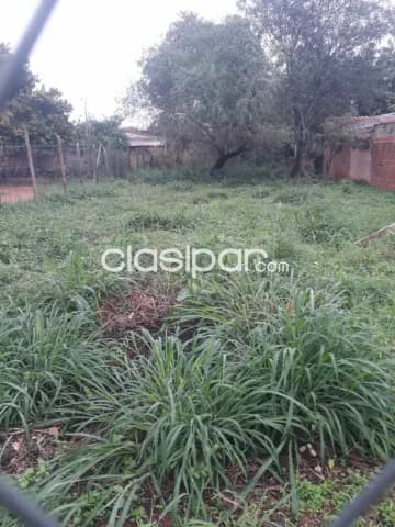TERRENO 12x30mts – Zona Moracue, Luque — foto 2