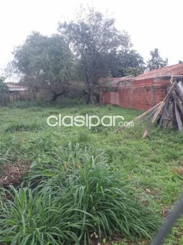 TERRENO 12x30mts – Zona Moracue, Luque — foto 3
