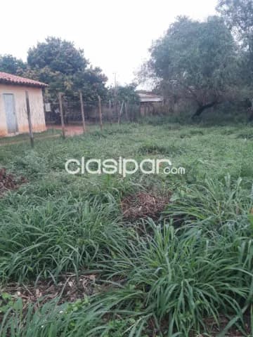 TERRENO 12x30mts – Zona Moracue, Luque — foto 4