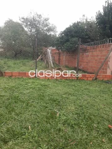 TERRENO 12x30mts – Zona Moracue, Luque — foto 5