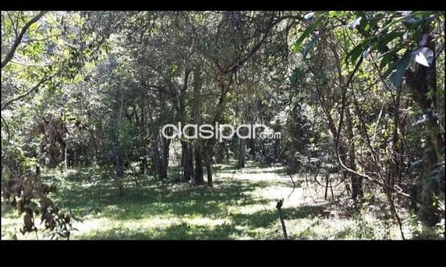 Terreno en altos cordillera cod 3110, foto 1