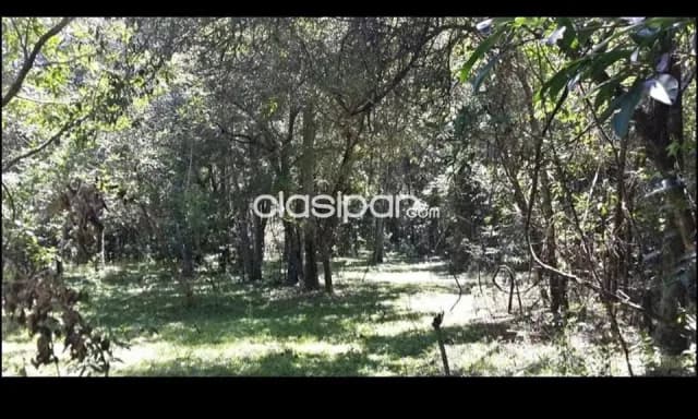 Terreno en altos cordillera cod 3110, foto 2