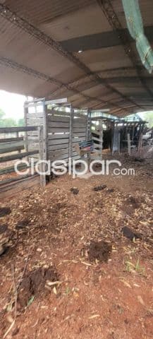 Campo de 230 hectareas en ybycui- paraguari