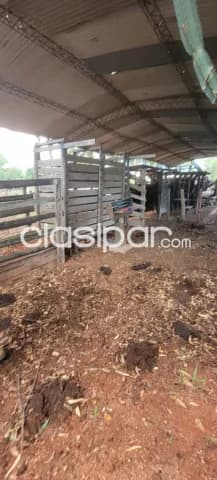 Campo de 230 hectareas en ybycui- paraguari, foto 2