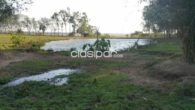 Campo de 230 hectareas en ybycui- paraguari, foto 3