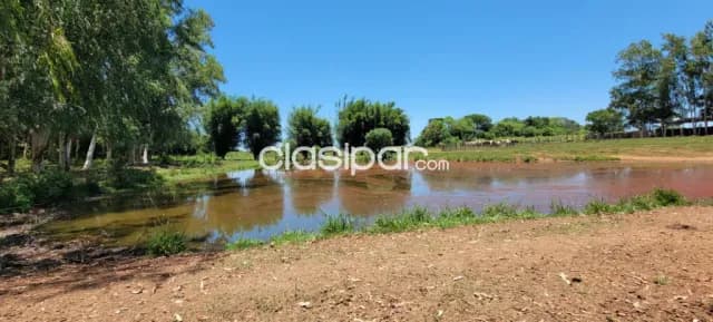 Campo de 230 hectareas en ybycui- paraguari, foto 4