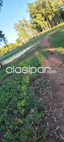 Campo de 230 hectareas en ybycui- paraguari, foto 5