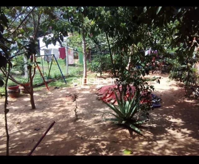 Casa en Mariano Roque Alonso barrio universo cod 3231 — foto 5