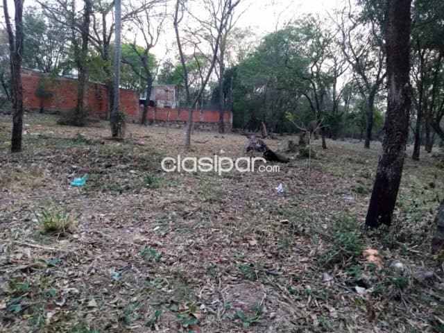 Terreno en San Barnardino, foto 2
