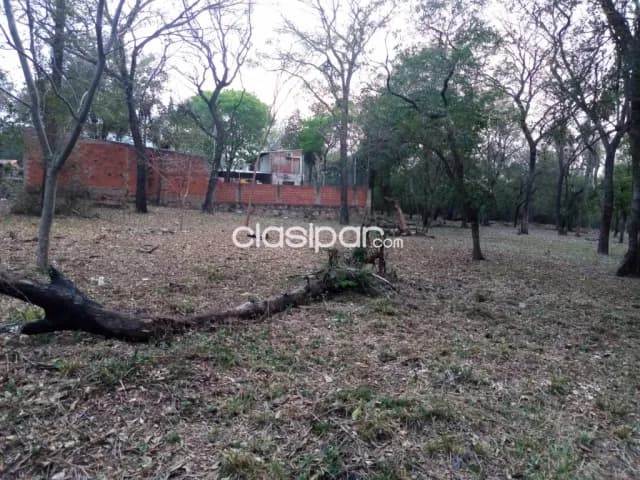 Terreno en San Barnardino, foto 3