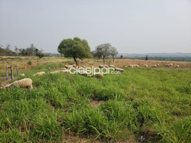 Hermosa Casa Quinta de 47 Hectáreas en Quiindy, Paraguari - CLCS7253810