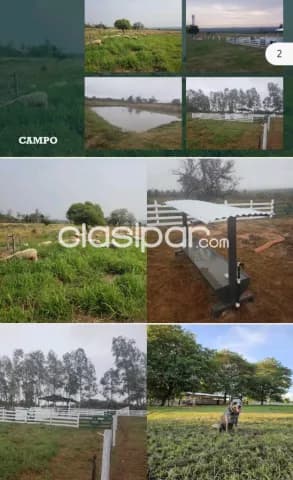Hermosa Casa Quinta de 47 Hectáreas en Quiindy, Paraguari - CLCS7253810, foto 4