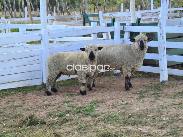 Hermosa Casa Quinta de 47 Hectáreas en Quiindy, Paraguari - CLCS7253810, foto 5