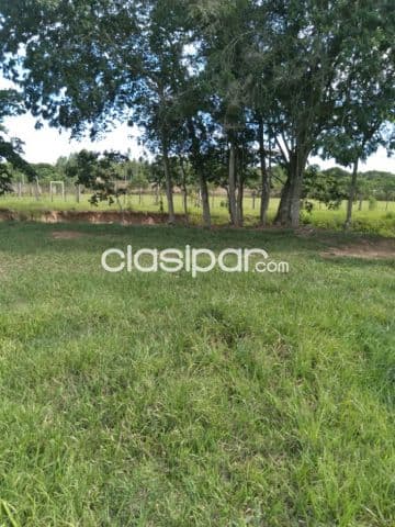 terreno en Altos, Zona Loma Grande — foto 1