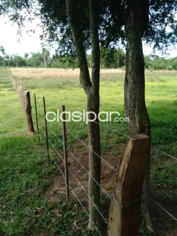 terreno en Altos, Zona Loma Grande — foto 3