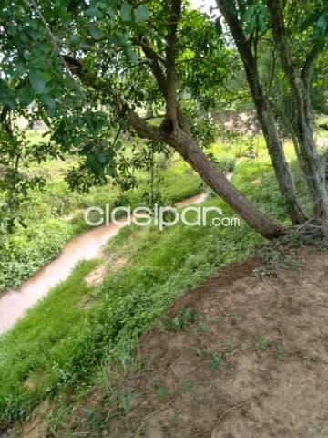 terreno en Altos, Zona Loma Grande — foto 4