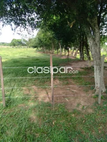 terreno en Altos, Zona Loma Grande — foto 5