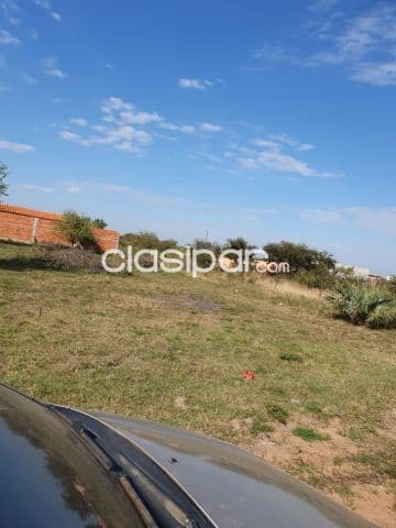 Terreno en limpio 4652